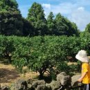 표선연세의원 이미지