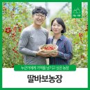 송재필 농장 이미지