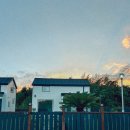 사계절송당 | 제주도 구좌 애견동반 숙소 사계절 송당 내돈내산 이용후기