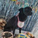 콩지네 부엌 이미지