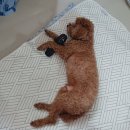 둥지보쌈송정점 | 8월 첫째 주 일기조각 : 왜요? 제가 강릉여행에서 먹기만 하다 온 사람으로 보이시나요? (맞음)