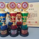 한체대고려태권도 이미지