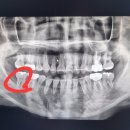제기유디치과의원 이미지