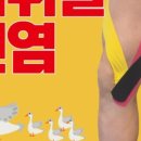 코스큐어 네이버블로그