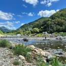 곰소그린 이미지