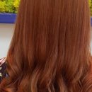 봉곡동281 이미지