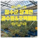 장수 공인중개사사무소 이미지