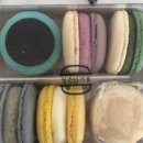 청춘마카롱 이미지