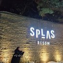 덕산면015 네이버블로그