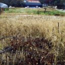 내곡동-6 이미지