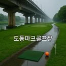 대림아파트 앞 둔치 이미지