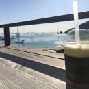 작은영토 이미지