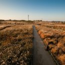 한강다목적운동장 축구장 이미지