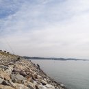 천수만마린