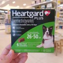 다함약국 이미지