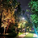 수인선 바람길 숲 이미지