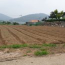 순천만공인중개사사무소 이미지