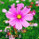지엠케이 이미지