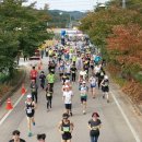 청송군민운동장 테니스장 이미지