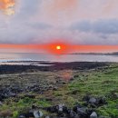 노을해안로 이미지