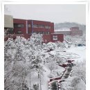 가톨릭대학교 성심교정 이미지