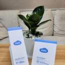 고시워시 | 여성청결제 추천 이슬로｜Y존 케어에 쓰기 좋은 페미닌 포밍 워시 &amp; 청결 티슈 후기