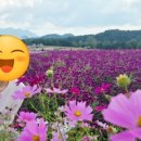 은하수반점
