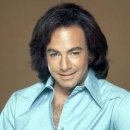 Neil Diamond -Be Jonathan Livingston Seagull (갈매기의 꿈) 이미지