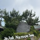 나무랑 풀이랑 | [포천] 청계호수 자작나무 숲 펜션 | 아기랑 서울 근교 여행 C동 2층 야외테라스 상세 후기