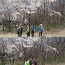 광우산악회 2017년 4월 산행 결과 -수리산- 이미지