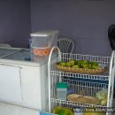 사리 사리 스토어