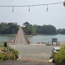 대도관광