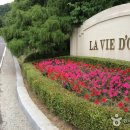 라비돌 리조트&컨트리클럽 티스토리