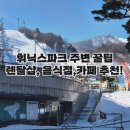 평창 휘닉스파크 꾹이네 렌탈샵 식당 카페 내돈내산 후기 추천