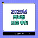 삼성펫클리닉 | 2025 BEST 펫보험 비교 추천 가격 총정리