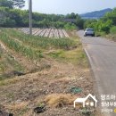 이기영공인중개사사무소 이미지