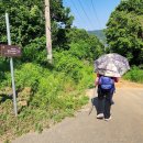 평화교통(주) 이미지