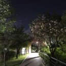 수변공원 화장실앞 이미지