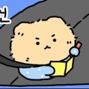 서울강신중학교 | [한국사능력검정시험] 한능검 1급 후기/94점/1트합격/4주 공부
