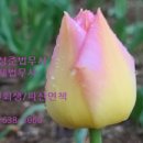 법무사강성준사무소 이미지