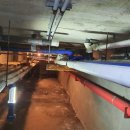 현대수영장 이미지