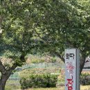 와따불짬뽕 - 창원시 마산회원구 광려천북로 34 | 와따불짬뽕
