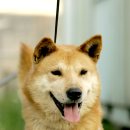 누가베스트 이미지