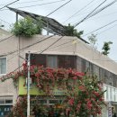 오복건강원 이미지