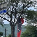 신진미헤어테라피