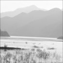 번암동화로 이미지