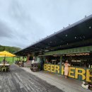 월드 건강식품점 | [호주한달살기18일차]포트스테판투어(돌고래크루즈/사막썰매타기/와이너리방문)