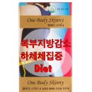 스키니바디 네이버블로그