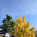 신당리마을회관 이미지