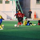 합성초등학교 이미지